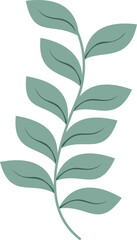 Flowers Illustration