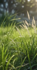 Obraz premium Soft focus on blades of grass swaying in the breeze, wind, gently