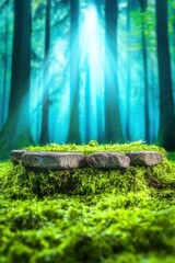 Obraz premium Misty forest with ancient stone circle shrouded in mystery and evoking ancient rituals under ethereal light