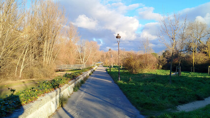 Paseo junto a árboles de invierno en Burgos, España