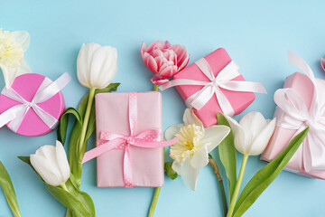 Gift boxes with beautiful tulips and daffodil flowers on blue background