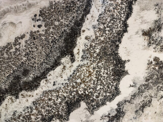 Abstract marble texture with flowing organic forms and subtle color variations, perfect for artistic backgrounds and nature-inspired designs