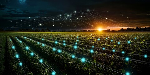 Obraz premium A Nighttime View of Futuristic Smart Agriculture Operations