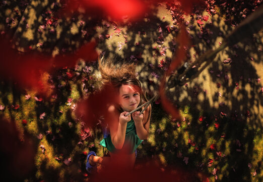 Young girl swinging in tree with colorful fall leaves