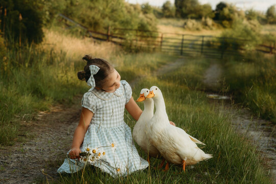 little girl in plaid dress with two ducks