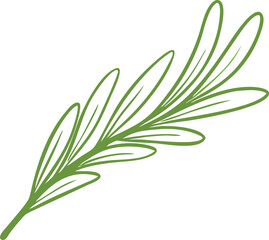 Obraz premium olive tree leaves vector illustration