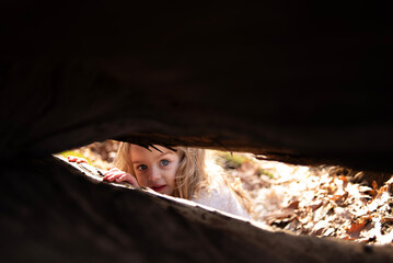Happy toddler girl peeking through tree stump outdoors