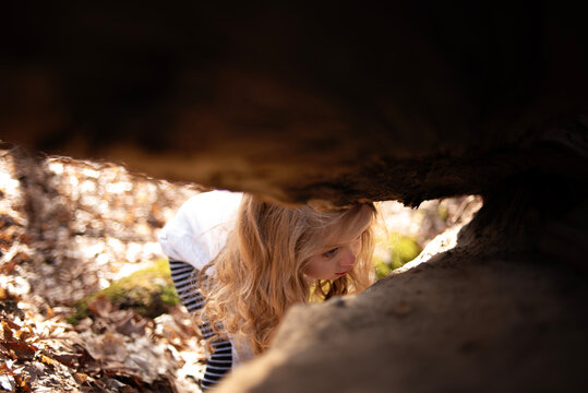 Toddler girl blonde curls looking in tree stump outdoors