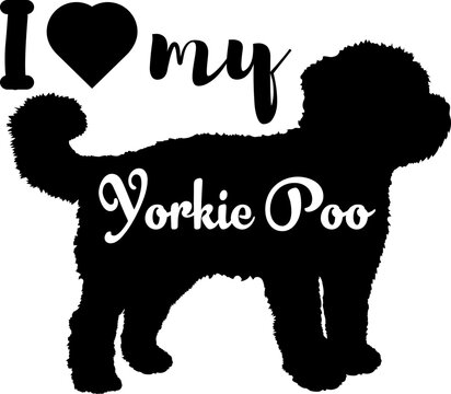 Yorkie Poo. dog silhouette, dog, dog breeds, logo, vector, love me love my dog, silhouette, i love my dog, animal, illustration, icon, sign, design, black, symbol, pet, love