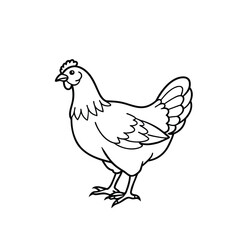 hen line art vector illustration