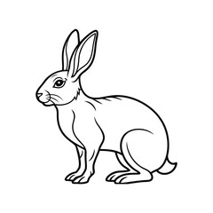 illustration of a rabbit with background
