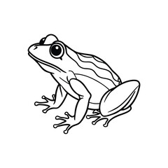 Frog black line art vector isolated on white background.