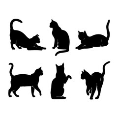 A collection of six black cat silhouettes in various poses, including sitting, stretching, leaping, and playing, displayed on White background.