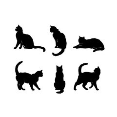 A collection of six black cat silhouettes in various poses, including sitting, stretching, leaping, and playing, displayed on White background.