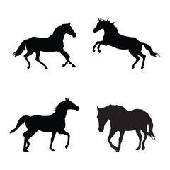 silhouettes of horses