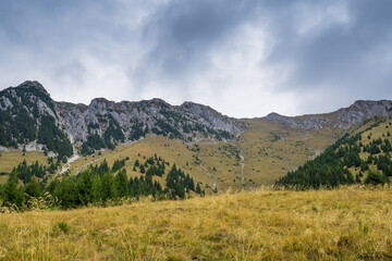 A Mountain Landscape With Rocky Hills Covered With Trees, Green Grass In The Foreground, Cloudy Sky In The Background