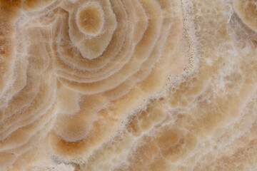 Onice Cappuccino texture, stylish background in light color for your new design.