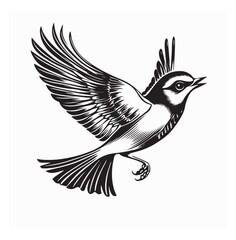 Skylark Flying vector image. Skylark Flying image Illustration on white background.