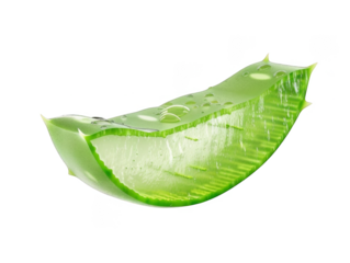 aloe vera slice by