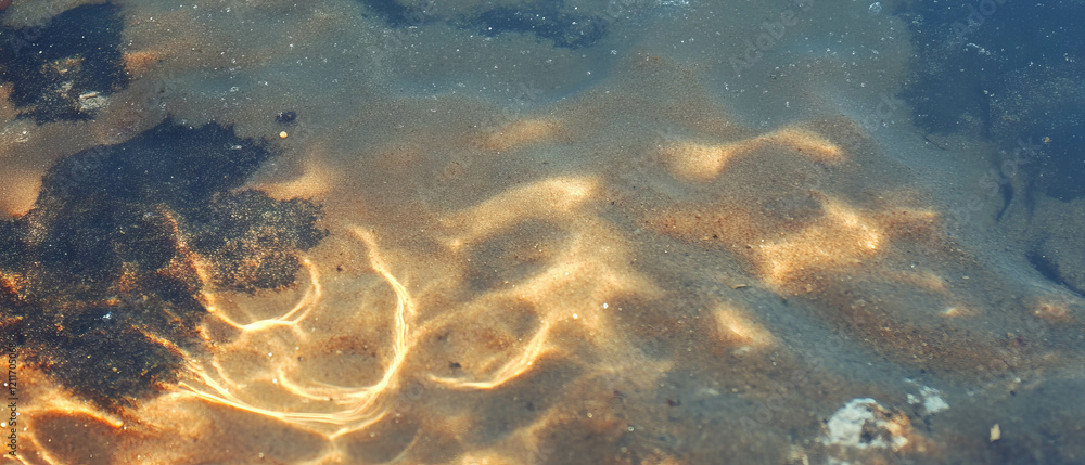 Poster footprint trails on sandy texture varying in size by the water's edge during daylight