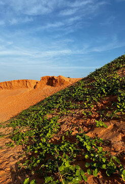 canoa quebrada fortaleza brazil, orange sandstone &nbsp; &nbsp;