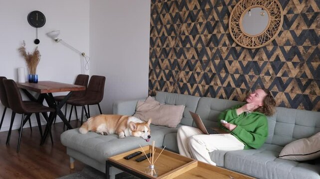 Home Office with a Dog Present and a Relaxed and Inviting Atmosphere for Work