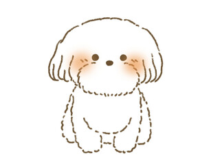 お座りをするマルチーズのイラスト