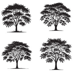 "Detailed Monochrome Vector Silhouettes of the Black Locust Tree Isolated on a White Background"