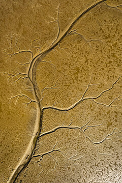 Vue a&eacute;rienne du Bassin d'Arcachon &agrave; mar&eacute;e basse repr&eacute;sentant des textures minimalistes 