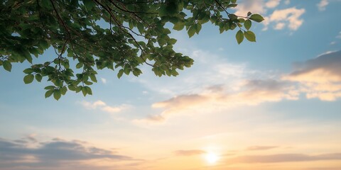 Fototapeta premium A tree branch with leaves is in the foreground of a beautiful blue sky