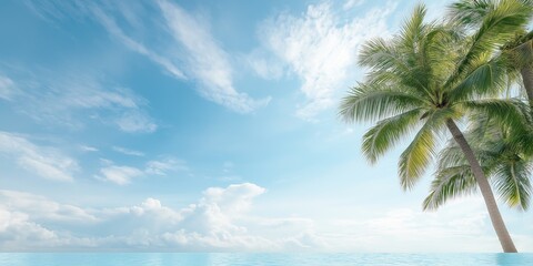 A beautiful blue sky with a palm tree in the foreground