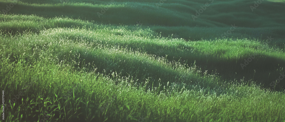 Poster expansive green fields showcase nature's tranquility in uniform texture across the landscape