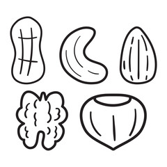 Nuts. Outline isolated icons. Almond, hazelnut, peanut, walnut, cashew. Hand drawn design. Illustrations on white background.