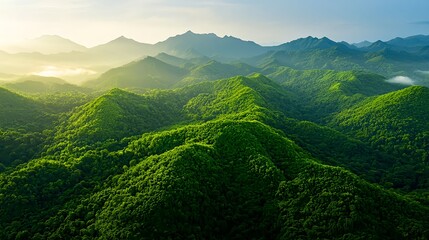 Obraz premium Lush Green Mountain Landscape Under Soft Morning Light