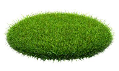 Lush green grass tuft, isolated, nature background, game asset