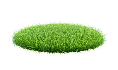 Lush green grass tuft, isolated, studio, backdrop, design