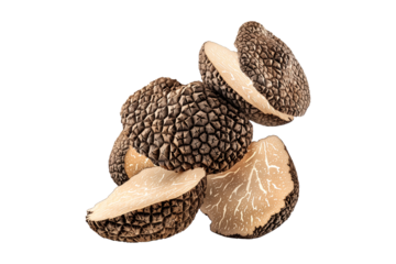 Fresh summer truffles Scorzones isolated on white transparent background, great for culinary and gourmet themes.