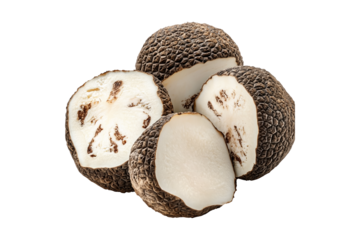 Fresh Bianchetto truffles isolated on white transparent background, great for culinary and gourmet themes.