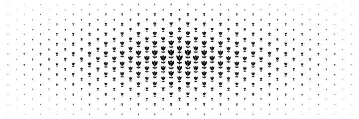 horizontal halftone of black bloom flower spread from center for pattern and background.