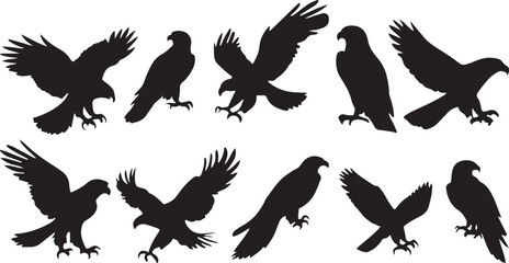 Obraz premium Falcon silhouette Collection