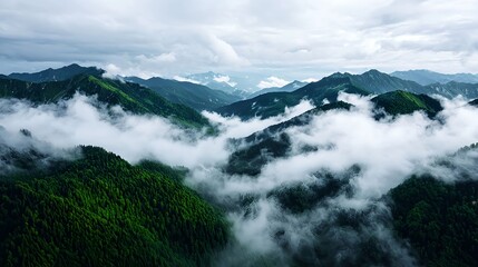 Majestic Mountain Landscape with Lush Green Forests and Misty Clouds