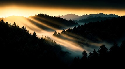 Golden Rays Shine Through Misty Forest Landscape at Sunrise