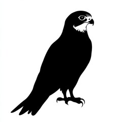 Fototapeta premium Majestic Falcon Silhouette