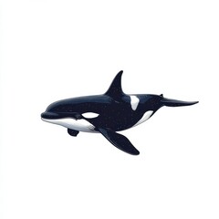 Obraz premium Elegant Orca Whale Illustration