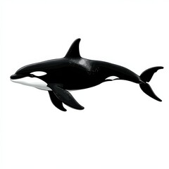 Elegant Orca Whale in profile