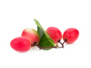 Carissa carandas Linn or Bengal currants, fruits isolated on transparen png.