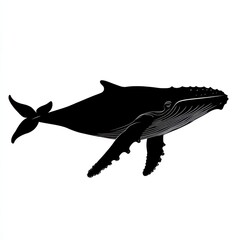 Obraz premium Majestic humpback whale silhouette