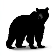 Silhouette of a majestic black bear.