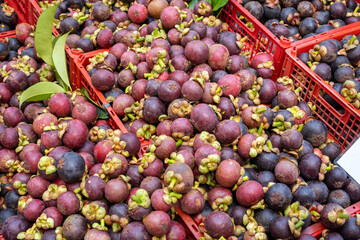 Fresh Mangosteen Displayed in Vibrant Colors at a Local Market Stall