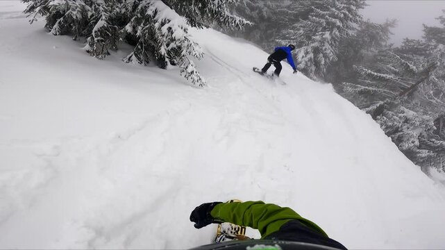 Two snowboarders ride by the beautiful fir tree forest. Sportsman in front falls down in the snow and man filming the ride gets into the snowdrift too.
